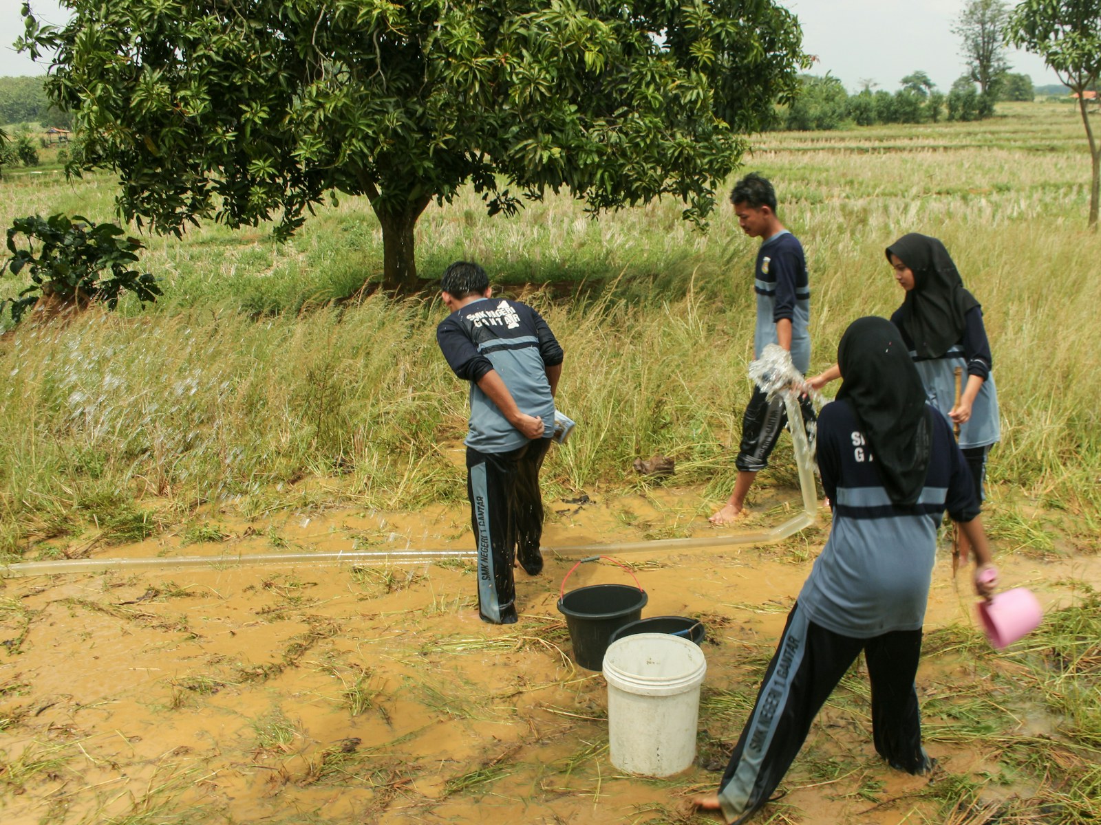 Students collecting and examining water in an outdoor learning activity