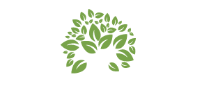 Tech Oasis